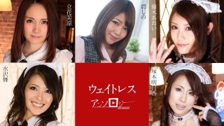 Waitress Anthology Misuzu Tachibana, Shino Aoi, Aoi Yuki, Asuka Tsukamoto, Mai Mizusawa